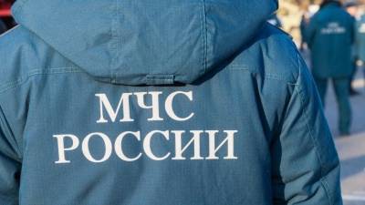 В Москве мужчина утонул на глазах у прохожих при попытке спасти собаку - 5-tv.ru - Москва - Россия - Екатеринбург