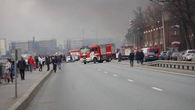 В Петербурге во время пожара на «Невской мануфактуре» сгорел кошачий приют - znak.com - Санкт-Петербург