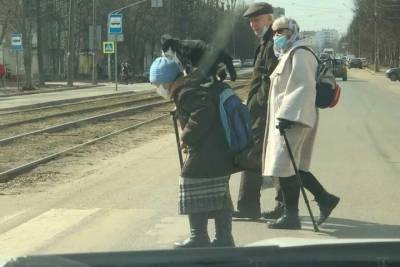 В Ярославле бабушка и кот стали звездами соцсетей - yar.mk.ru - Ярославль