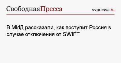 Александр Панкин - В МИД рассказали, как поступит Россия в случае отключения от SWIFT - svpressa.ru - county Swift