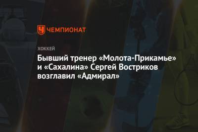 Бывший тренер «Молота-Прикамье» и «Сахалина» Сергей Востриков возглавил «Адмирал» - championat.com - Москва - Тольятти - Воскресенск