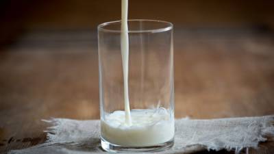 Диетолог раскрыла важные нюансы при выборе правильного молока - newinform.com