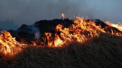 Сотрудники МЧС потушили мощный пожар в воронежском селе - vestivrn.ru - район Бобровский
