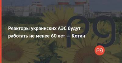 Петр Котин - Реакторы украинских АЭС будут работать не менее 60 лет — Котин - thepage.ua