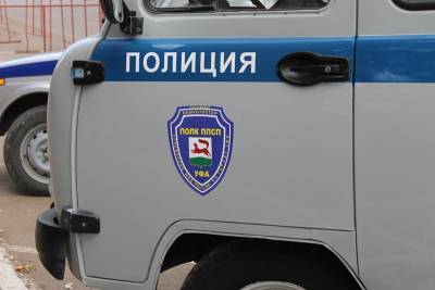 Полицейские задержали двух уфимцев, подозреваемых в крупной краже - ufacitynews.ru - Башкирия - Уфа - район Благоварский