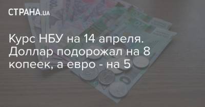 Курс НБУ на 14 апреля. Доллар подорожал на 8 копеек, а евро – на 5 - cryptos.tv