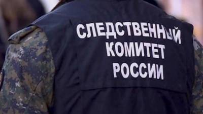 Вадим Наумов - СК возбудил дело по факту смерти ребенка при пожаре в Ленобласти - nation-news.ru - Ленинградская обл. - Тюменская обл. - р-н Выборгский