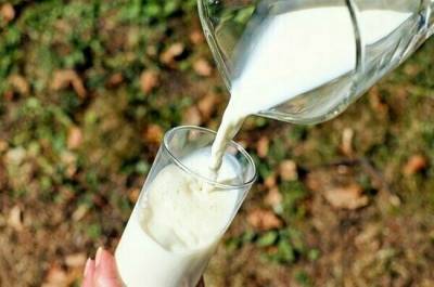 Тамара Прунцева - Диетолог объяснил, как правильно выбрать молоко при непереносимости - pnp.ru