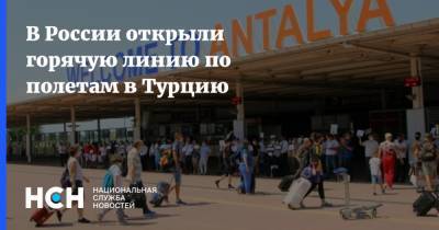 Татьяна Голикова - В России открыли горячую линию по полетам в Турцию - nsn.fm - Москва - Турция - Стамбул - Танзания