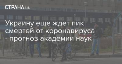 Украину еще ждет пик смертей от коронавируса - прогноз академии наук - strana.ua