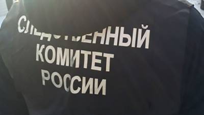 СК начал проверку по факту смерти подростка в Крыму от вдыхания газа - newinform.com - Крым