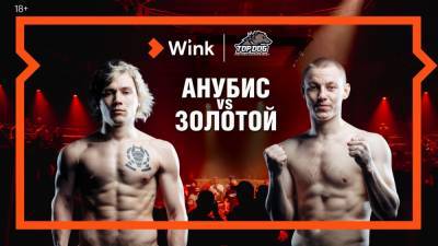 16 апреля в Wink впервые в прямом эфире кулачные бои TOP DOG - vgoroden.ru