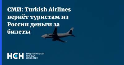 Татьяна Голикова - СМИ: Turkish Airlines вернёт туристам из России деньги за билеты - nsn.fm - Москва - Турция - Стамбул