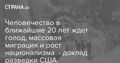 Человечество в ближайшие 20 лет ждет голод, массовая миграция и рост национализма - доклад разведки США - strana.ua - США