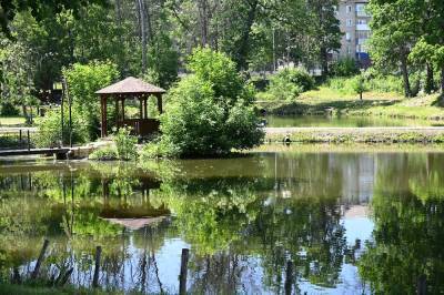 В Минстрое Петровский парк Ельца посчитали одним из лучших в стране - lipetskmedia.ru - Елец