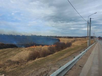 В Смоленской области к ответственности привлекли 25 виновников палов - rabochy-put.ru - Смоленская обл.