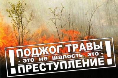 В Ярославской области выгорело 143 гектара за сутки - yar.mk.ru - Ярославская обл. - Ярославль