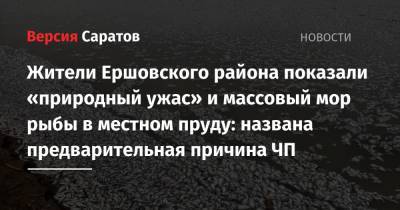 Вячеслав Володин - Валерий Радаев - Жители Ершовского района показали «природный ужас» и массовый мор рыбы в местном пруду: названа предварительная причина ЧП - nversia.ru - Саратовская обл. - район Ершовский