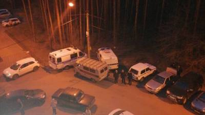 Воронежцы сообщили о смертельной драке в микрорайоне «Электроника» - vestivrn.ru - Воронеж