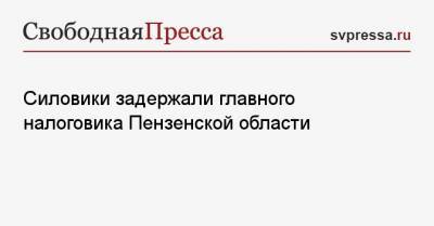 Силовики задержали главного налоговика Пензенской области - svpressa.ru - Ростовская обл. - Пензенская обл.