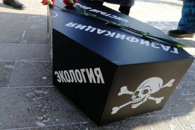 Жительнице Красноярска прислали повестку в суд за «похороны экологии» у краевого правительства - tayga.info - Красноярский край - Красноярск