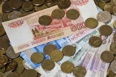 Андрей Исаев - Госдума приняла в первом чтении проект о гарантированном доходе должников - pnp.ru