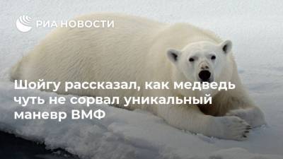 Сергей Шойгу - Шойгу рассказал, как медведь чуть не сорвал уникальный маневр ВМФ - ria.ru - Москва - Россия - Арктика