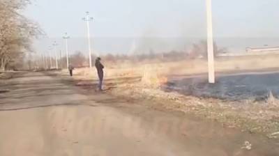 Воронежцы сняли на видео поджигателей сухой травы в Масловке - vestivrn.ru - Воронеж