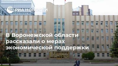 Владимир Нетесов - В Воронежской области рассказали о мерах экономической поддержки - smartmoney.one - Воронеж - Воронежская обл.