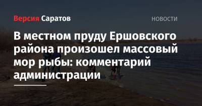 В местном пруду Ершовского района произошел массовый мор рыбы: комментарий администрации - nversia.ru - Саратовская обл. - район Ершовский