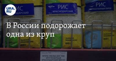 В России подорожает одна из круп - ura.news - Краснодарский край