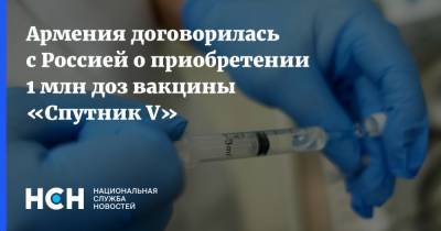 Армения договорилась с Россией о приобретении 1 млн доз вакцины «Спутник V» - nsn.fm - Армения - Ереван