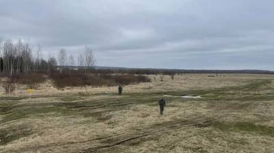 В Докшицком районе саперы нашли более 700 артснарядов - belta.by - Витебск - район Докшицкий