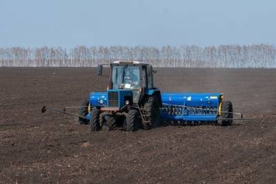 В Тамбовской области засеяли более 20 гектаров полей - tambov.mk.ru - Тамбовская обл. - Петровск