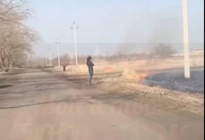 В Воронеже наткнулись на поджигателей сухой травы в Масловке (ВИДЕО) - gorcom36.ru - Воронеж - Воронежская обл.