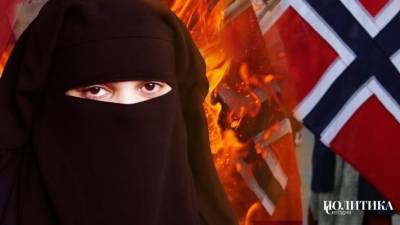 Неверное королевство: Понасенков поддержал борьбу Норвегии против исламизации - polit.info - Норвегия