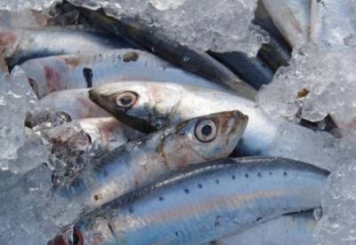 Светлана Фус - Медики назвали продукт, который полезен для сердца и щитовидной железы - facenews.ua
