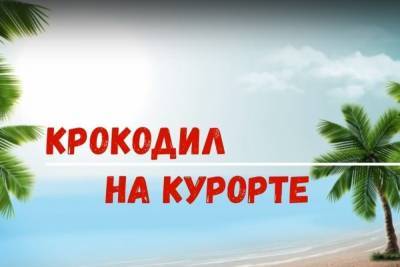 Подарок от «Системы» — в Костроме на нем сняты первые мультфильмы - kostroma.mk.ru - Кострома