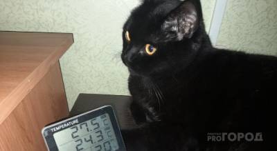 Владимир Волков - "27 градусов дома": рассказали, когда отключат отопление - progorod76.ru - Ярославская обл. - Ярославль