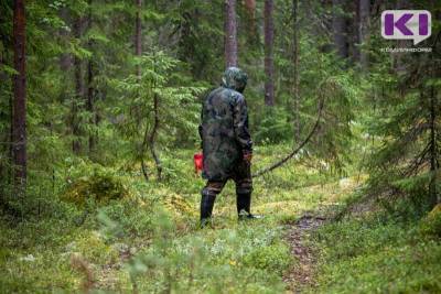 Минприроды предлагает разграничить полномочия органов власти в сфере лесоустройства - komiinform.ru