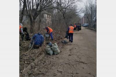 В Смоленске продолжается экологический месячник - rabochy-put.ru - Смоленск