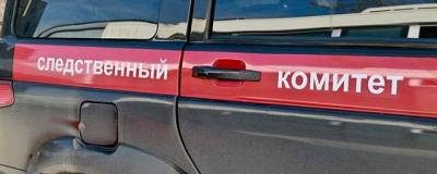 В Новосибирске 17-летнего студента обнаружили мертвым после вечеринки - runews24.ru - Новосибирск