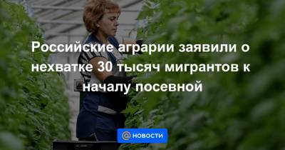Михаил Глушков - Российские аграрии заявили о нехватке 30 тысяч мигрантов к началу посевной - news.mail.ru