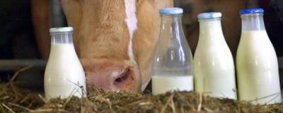 Тамара Прунцева - Врач-диетолог объяснила, какое молоко может навредить - runews24.ru
