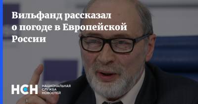 Роман Вильфанд - Вильфанд рассказал о погоде в Европейской России - nsn.fm