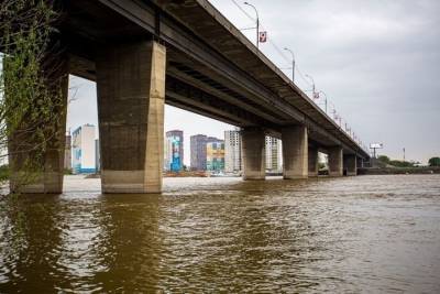 14-летняя девочка упала с Димитровского моста в Новосибирске - novos.mk.ru - Новосибирск
