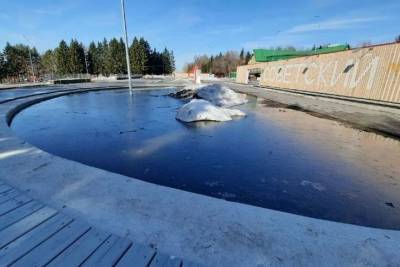 В Советском парке провалилась плитка, уложенная при реконструкции - omsk.mk.ru - Омск