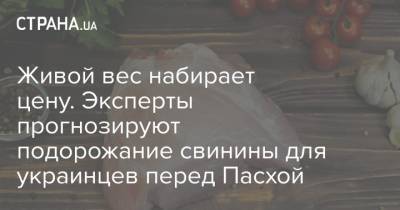Живой вес набирает цену. Эксперты прогнозируют подорожание свинины для украинцев перед Пасхой - strana.ua
