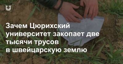 Зачем Цюрихский университет закопает две тысячи трусов в швейцарскую землю - news.tut.by - Голландия