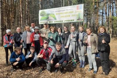 Александр Воробьев - В Бондарском районе высадили 5 тысяч сосен - tambov.mk.ru